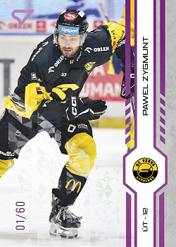 Pawel Zygmunt Litvinov Tipsport ELH 2024/25 SportZoo 2. serie Purple Iceberg /60 #288